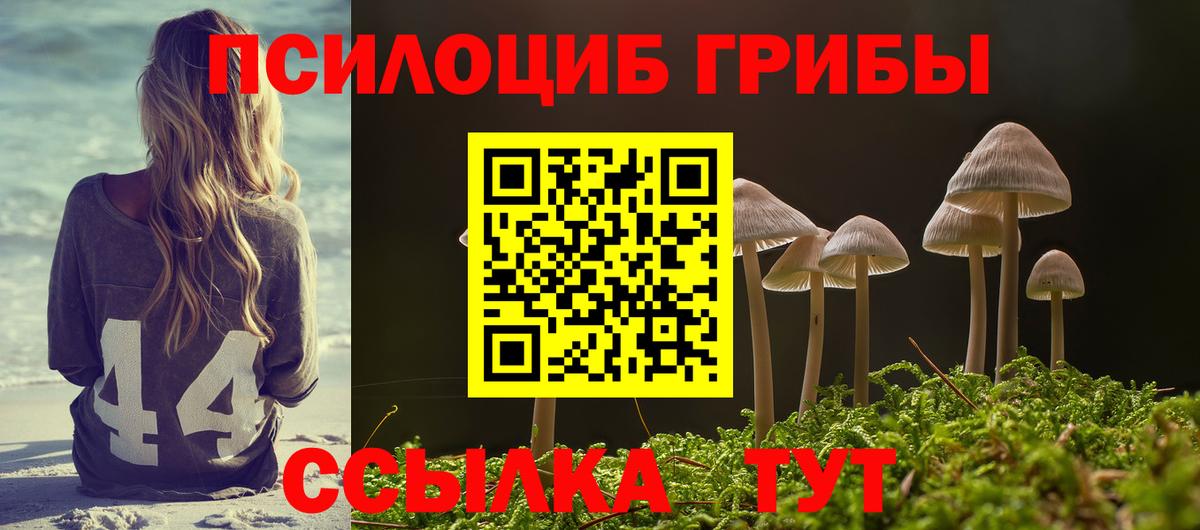 Галлюциногенные грибы Psilocybine cubensis Тайшет