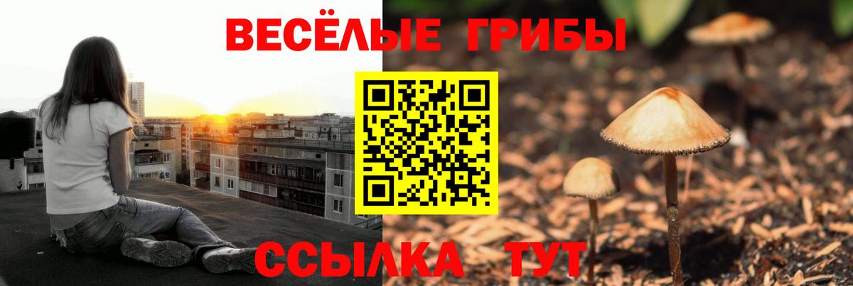 Тайшет  Галлюциногенные грибы прущие грибы  Вход с VPN 